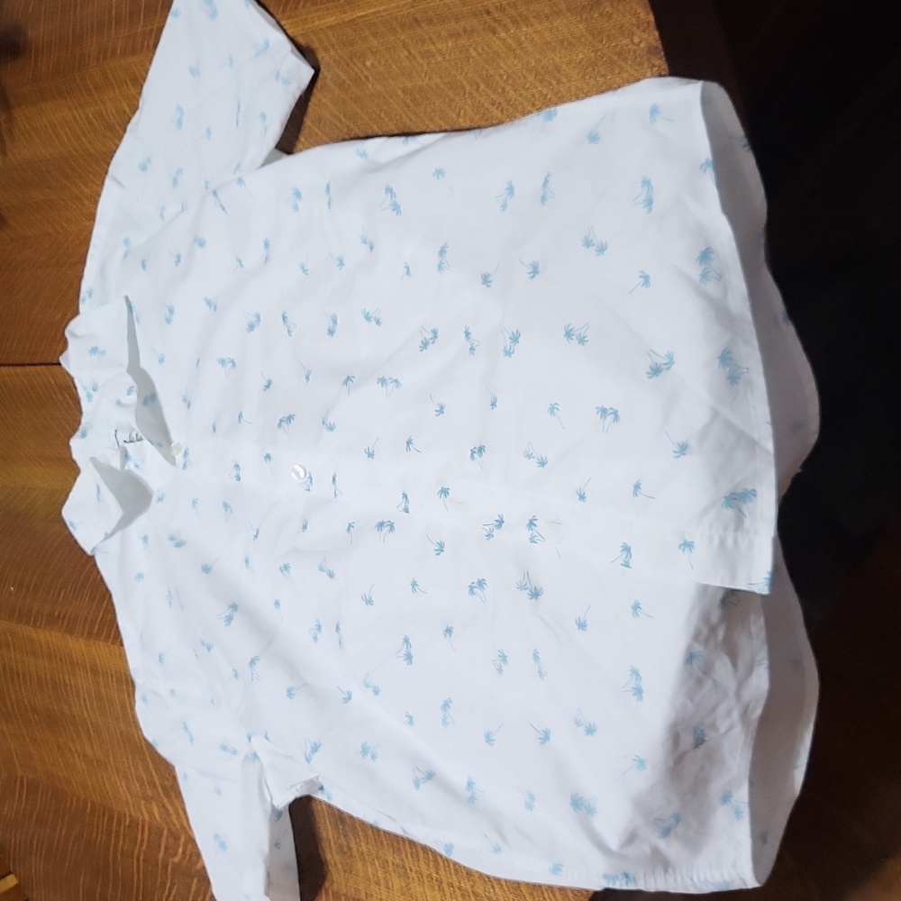 Mens Palm Tree Button Down